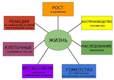 Роль химии в жизни | Химия. Как она есть. | Дзен