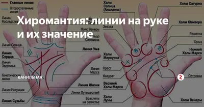 Линия счастья на ладони в хиромантии - расположение, значение, примеры |  Palm reading, Palmistry, Astrology