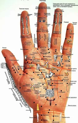 Как по рукам определять болезни