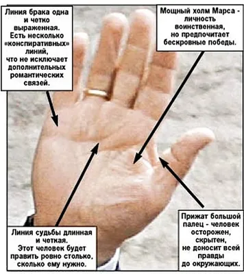 Будущее Путина написано на его руке - 