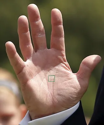 Что означает большое количество линий на руке? | Хиромант онлайн -   | Дзен