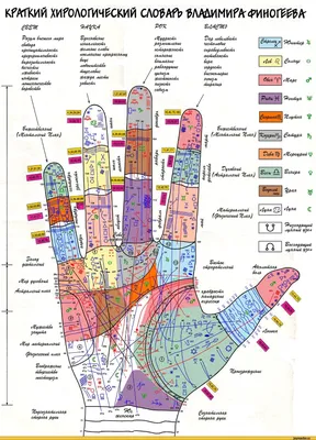 Хиромантия. Возраст на линии жизни. | Хиромантия, Знак близнецы, Астрология