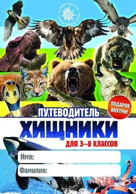 Животные. Хищники и травоядные. Природоведение для малышей от 5 лет.  Краткая лекция. - YouTube