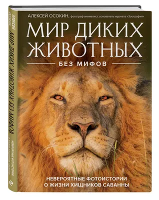 Иллюстрация 3 из 12 для Хищные животные. Опасные, дикие, домашние - Юлия  Школьник | Лабиринт - книги. Источник: