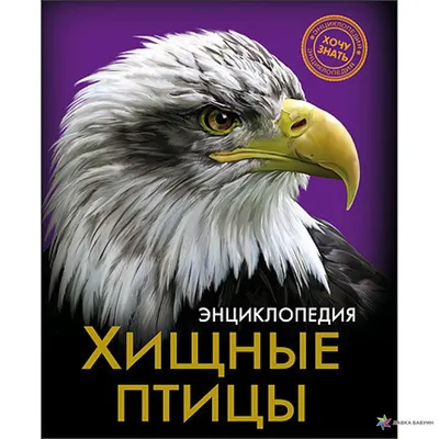 Хищные птицы» показали удручающие кассовые сборы и худший старт в истории DC