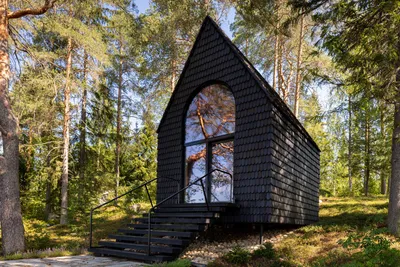 Можно ли построить дом в лесу? - Статья - Журнал - FORUMHOUSE