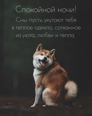 Мам, тебе чего? - спросил сын, а его жена натянула одеяло до самого  подбородка, как будто оно могло спасти её от ночного кошмара | Писатель |  Медь | Дзен