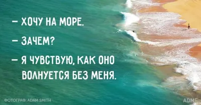 Хочу На Море | Moping, Jokes, Sunset