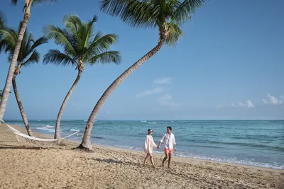 Maui Beaches | Beaches on Maui | Go Hawaii