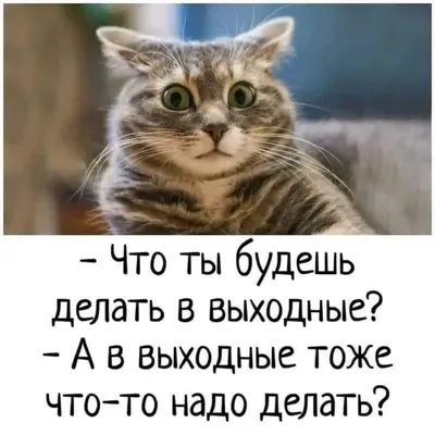 Нозима Давлетова перешла на работу в Администрацию президента – Новости  Узбекистана – Газета.uz