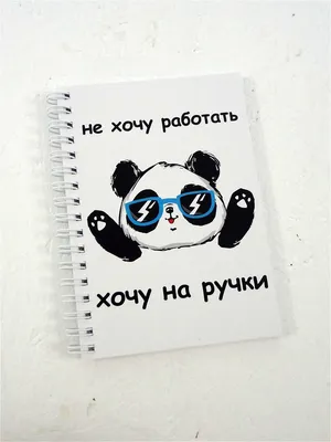 Блокнот "Панда хочу на ручки" Сочиняй мечты 14909978 купить в  интернет-магазине Wildberries