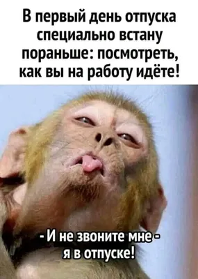 Плюшевый @vedmezhe • Jan 30 Замученный работой, я выбился из сил, И отпуск  я у шефа недельный попр / лесник :: отпуск :: Король и Шут :: картинка с  текстом / смешные