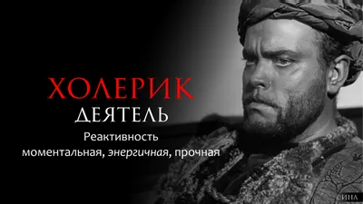 Холерик Флегматик Меланхолик Щ Сангвиник Алкоголик /  / сангвиник :: алкологолик :: меланхолия / смешные картинки и другие  приколы: комиксы, гиф анимация, видео, лучший интеллектуальный юмор.