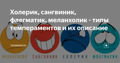 Холерик, сангвиник, флегматик, меланхолик - типы темпераментов и их  описание | Психологус | Дзен