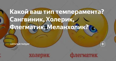 Какой ваш тип темперамента? Сангвиник, Холерик, Флегматик, Меланхолик? |  Наталья Гайдар | Дзен