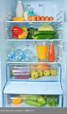 Передвижной холодильник: доставит еду по первому зову