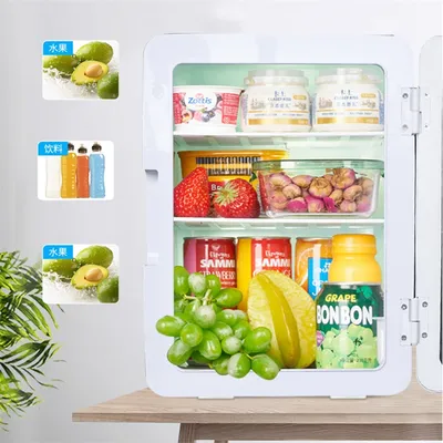 Мини-холодильник для автомобиля и дома, 10 л, 12 В/220 В, портативный  холодильник для еды, напитков, для дома и автомобиля, на улице | AliExpress