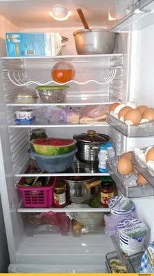 Умиротворение от запасов еды. Айтишник из Жодино открыл свой холодильник |  Lifestyle | Селдон Новости