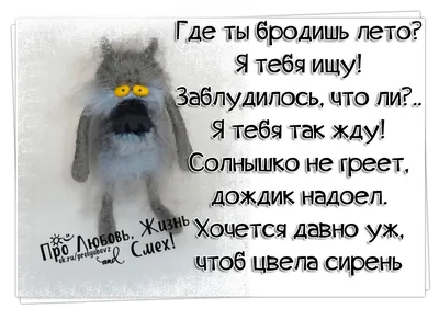 Андрей Сысоев: «Хоть июнь холодный, отопления в Мурманске до осени не  будет» - 