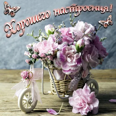 ХОРОШЕГО ДНЯ!🌹ОТЛИЧНОГО НАСТРОЕНИЯ🌹!МУЗЫКАЛЬНАЯ ОТКРЫТКА🌹. - YouTube