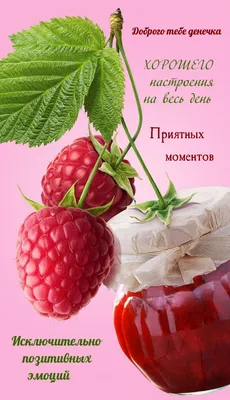 Картинки: "Хорошего дня и отличного настроения!" (217 шт.)