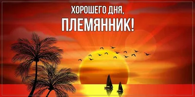 Открытка для любимых и родных Племянник Хорошего дня. Открытки на каждый  день с пожеланиями для родственников.