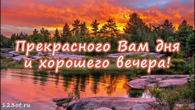 Пожелания доброго и хорошего дня. Самого Вам яркого и прекрасного дня |  Поздравления,открытки,пожелания | Дзен