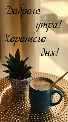 Доброго утра. Хорошего дня. Тихого вечера в доме уютном. Вдох – с  удовольствием, Выдох – любя, Счастья в мгновениях … | Доброе утро,  Винтажные предпосылки, Открытки