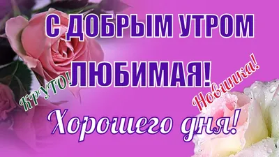 Пожелания хорошего дня в картинках, своими словами, в стихах, в смс и  христианские пожелания доброго дня — Украина — 