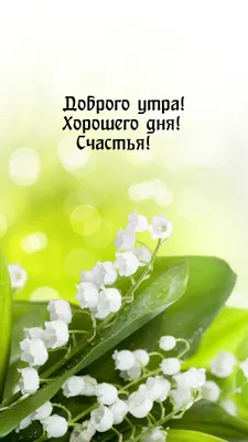 Доброе, весеннее утро. Желаем всем приятного, успешного и хорошего дня -  Лента новостей Крыма