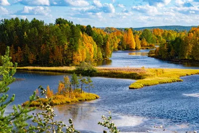 Фотообои Яркие цвета природы 58246 купить в Украине | Интернет-магазин  