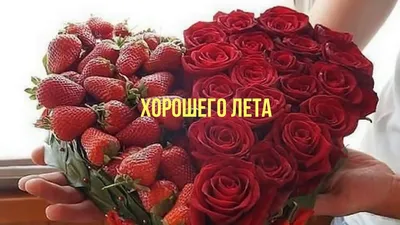 Доброе утро хорошего лета