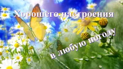 ДОБРОЕ УТРО! 🍁🍒🍫☕🍂🍎🍂☕🥧🍒🍁 Хорошего настроения в любую погоду!