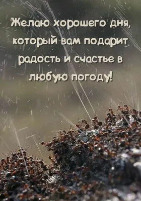 Петербургский Дневник - Уютного утра, Петербург 😘 Хорошего настроения в  любую погоду! Фото: /katrishka_petrova | Facebook