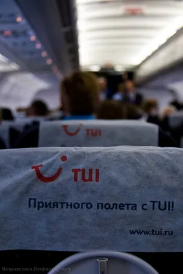 Светлана - #Селиполетели . Мини отпуск начался🛫🛬 . Пожелайте нам хорошего  полёта, отличного отдыха и охренительных эмоций 🤪 . Как вы думаете куда мы  ✈😉? . Первому отгадашему привезу сувенир🤗 (Все, кто