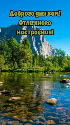 Пин от пользователя Натали Григерман на доске А кому открытки? Сделаю любые  | Открытки, Счастливые картинки, Смешные поздравительные открытки