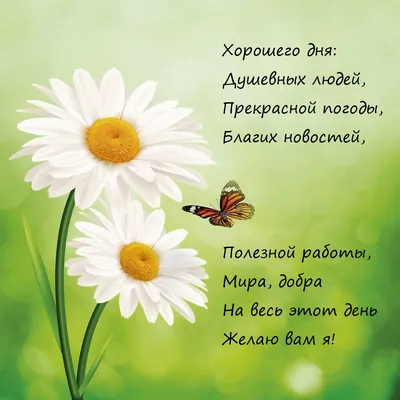 Пожелания хорошего дня в картинках, своими словами, в стихах, в смс и  христианские пожелания доброго дня — Украина