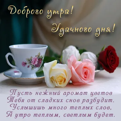 Доброе утро красивые картинки мотивация кофе море и цветы | Good morning  beautiful pictures, Good morning greeting cards, Good morning beautiful
