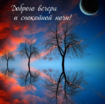 Красивое пожелание добрый вечер доброй ночи, 50 вариантов, в стихах,  картинках, открытках, гифках. Прикольные пожелания добрый веч… | Ночь,  Спокойной ночи, Открытки