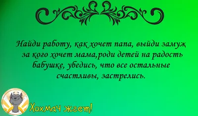 Смешные анекдоты от Хохмача! Выпуск №4 | Хохмач | Дзен