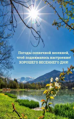 Красивые картинки хорошего весеннего дня и отличного настроения (49 фото) »  Юмор, позитив и много смешных картинок