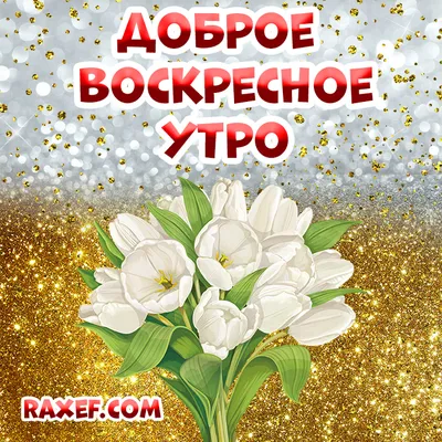 Доброго осеннего утра! | Доброе утро, Осенние картинки, Воскресенье