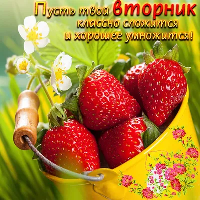 Картикни с добрым утром вторника🌞