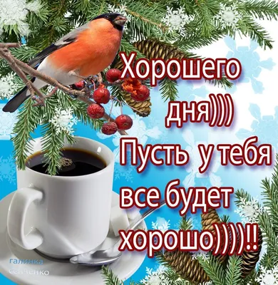 Доброго зимнего утра! 🌸Невесомых снежинок вам!🌸 Зимний позитив🌸Good  morning!🌸 - YouTube