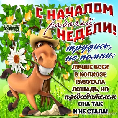 Хорошей недели ⋆ Открытки анимация