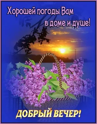 Комикс мем: "Поздравляю с Новым годом! Пусть счастливым будет он! И хорошей  Вам погоды В доме, в жизни, за окном!" - Комиксы - 