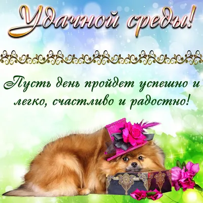 УДАЧНОЙ СРЕДЫ! 💖🌸🦋💐🌺🌿🦋🌸 ПРЕКРАСНОГО ДНЯ! 💖 | Шахрукх кхан,  Поздравительные открытки, Открытки