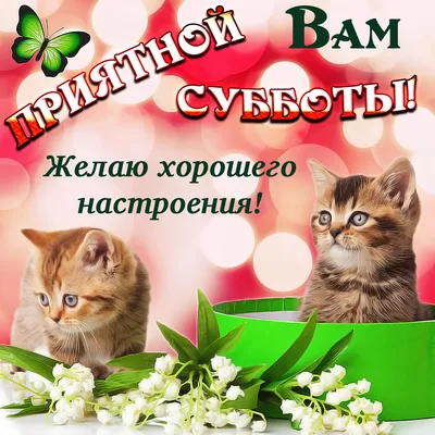 Видеооткрытка Пожелание хорошей зимней субботы! Наконец то настала суббота!  Это значит, пора отдыхать!