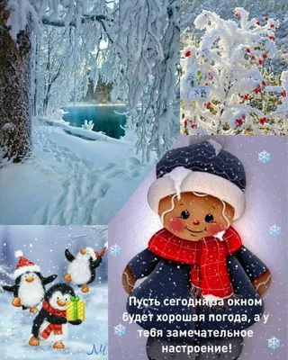 Pin by Анжелика on Доброе утро | Teddy bear, Teddy, Snoopy