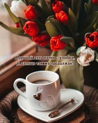 Доброе утро! Пусть сегодня будет просто хороший день...🤗🌹